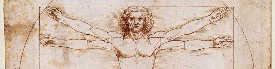 Vitruvian Man - Leonardo da Vinci 1492, Public Domain